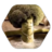 Testiclez