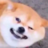 Piopuvboob