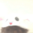 Hokidoki
