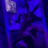 killdtb