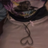 yungchxmp