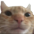 huba