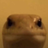 Nncsrhvvccx