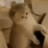 kylersurf