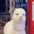 xAlpaca