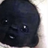 Gucici